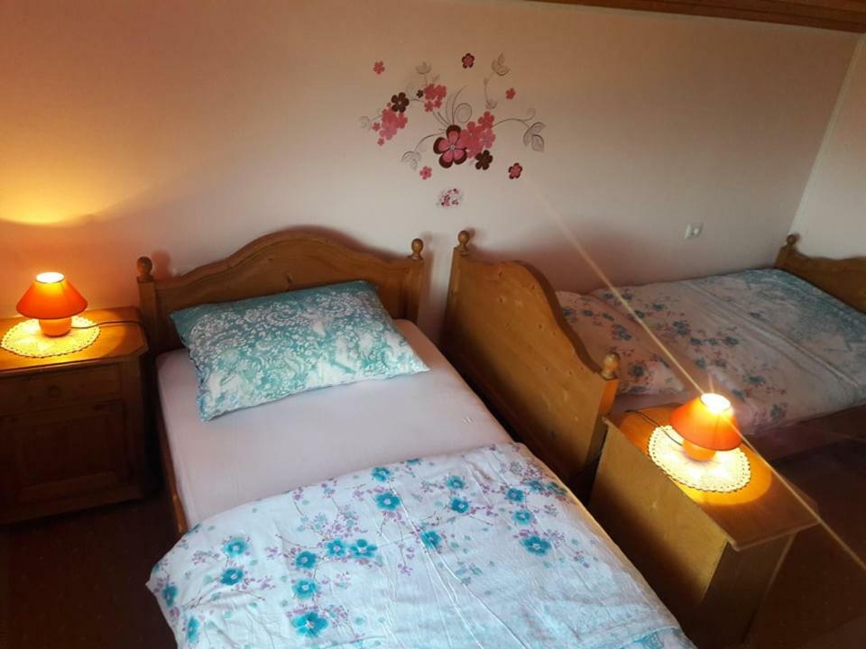 Kuca Za Odmor Anamarija Villa Ogulin Dış mekan fotoğraf