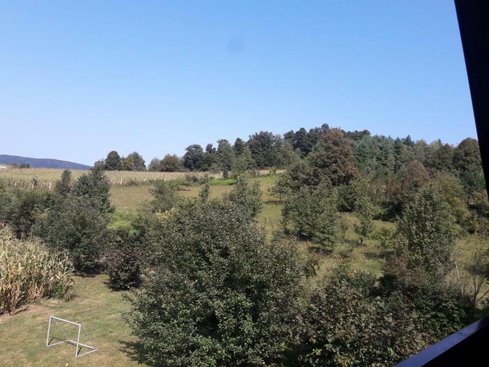 Kuca Za Odmor Anamarija Villa Ogulin Dış mekan fotoğraf